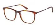 Radley RDO 6016 102 Men's Glasses Tortoiseshell Size 51 - Private Health Rebate - Blue Light Block Available