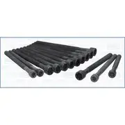 Austral Cylinder Head Bolt Set - 81039400