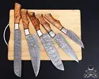 Professional Handmade_5 x Kitchen Chef Knife Set Damascus knives in LEATHER ROLL