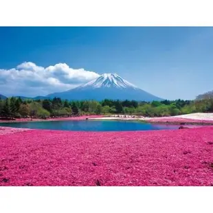 找到了旅遊~紫藤東京立山黑部雪壁合掌村雙溫泉6日單人券 7313473