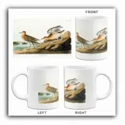 Buff Breasted Sandpiper - 1827 - Illustration Mug