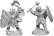 WizKids WK73200 Miniatures D&D Nolzurs Marvelous Unpainted Minis Dragonborn Male Paladin