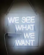We See What We Want 14"x10" Acrylic Neon Sign Lamp Light With Dimmer VSX