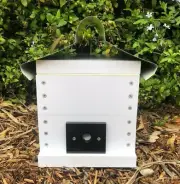 Easy Access Stingless Native Bees Hive OATH BeeHive Tetragonula Clear Viewing