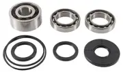 DIFFERENTIAL KIT REAR POLARIS, ALLBALLS 25-2108, RZR 4 900 17, RZR XP 1000 17, R