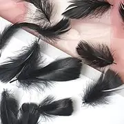QLIZXINBG Macaron Color Small Feathers Small Flying Goose Feathers Wedding Festival Event Stage Decoration Gift Box Filling Material