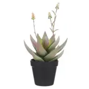 Rogue Flowering Aloe Vera Artificial Succulent Fake Potted Plant Home Decor