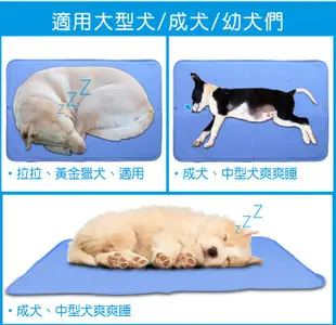 【巧婦樂】寵物夏季專用 冷凝膠涼墊 冷凝涼墊 冷凝床墊-60x90cm