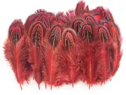 100 Pcs Natural Pheasant Plumage Feathers 2-3 Inches Plumage Feathers for Sewing