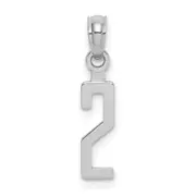 14K White Gold 14Kw Polished Number 2 Pendant