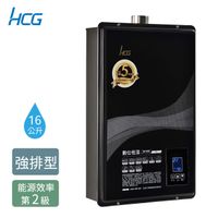 【HCG 和成】16公升數位恆溫熱水器-GH1655(NG1/FE式)