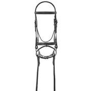 Camelot Lined Bridle w/Flash