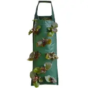 Muti-Pocket Strawberry Plant Planter Bag Vertical Garden Hanging Veg Growing Bag