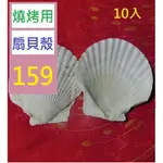 【三峽貓爸的店】10入扇貝大白殼彩繪塗鴉扇白色貝殼片DIY燒烤用殼燒烤大貝殼獨立站 扇貝貝殼