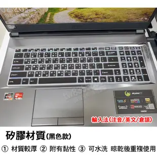 微星 MSI GF75 GL72M PE62 GL62M GV72 繁體 注音 倉頡 鍵盤膜 鍵盤套 鍵盤保護膜