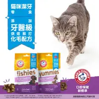 在飛比找蝦皮購物優惠-ARM & HAMMER 鐵鎚牌 烘焙蘇打三角潔牙餡餅 脆餅