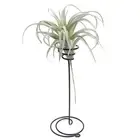 1pc Artificial Pineapple Grass Air Plants Fake Flowers DIY Home Wall Decorat AUT