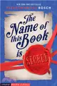 The Name of This Book is Secret (Usborne Modern Classics)