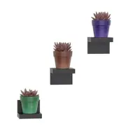 RICHER HOUSE 3-Pack Small Floating Shelves for Wall, Plastic Small Black Shelf 4