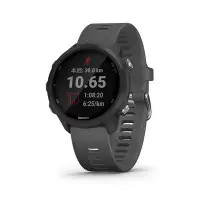 在飛比找Yahoo!奇摩拍賣優惠-GARMIN Forerunner 245 GPS腕式心率跑