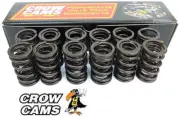 SET OF 12 DUAL VALVE SPRINGS FOR FORD FAIRMONT AU INTECH VCT & NON VCT 4.0L I6