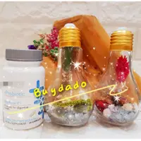 在飛比找蝦皮購物優惠-暢益菌【Buydado】最新效期2025/01/06