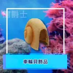 ✨現貨✨[龍爵士水族]車輪貝飾品 裝飾品 造景 擺飾 擺件 魚缸造景 魚缸擺飾 可愛小物    Z18