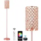 Crystal Floor Lamp with Remote Control, Smart Rose Gold Floor Lamps for Livin...