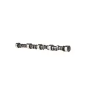 Engine Camshaft Melling 22219|Motors part