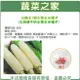 【蔬菜之家】G50.白龍王1號水果玉米種子(北海道牛奶水果玉米種子)(共2種包裝)