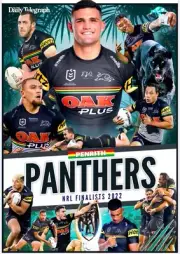 PENRITH PANTHERS TEAM POSTER,NRL RUGBY,Penrith panthers Eels,cowboys,Rabbitoh 1