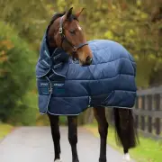 Amigo Insulator Plus Stable Blanket (350g Heavy, 150g Hood)