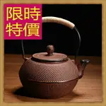 日本鐵壺鑄鐵茶壺-泡茶品茗南部鐵器老鐵壺63F14【獨家進口】【米蘭精品】