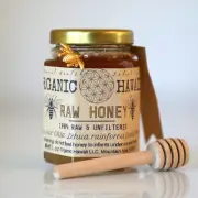 Organic Hawaii RAW HONEY - Lehua Blossom 4oz Glass Jar with Spoon and Charm