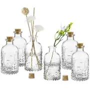 Vintage Apothecary Flower Bud Vases with Cork Lid, Clear Glass Bottles, Set of 6