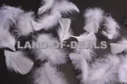 400+ Natural White turkey feathers loose small feathers plumage 2 oz