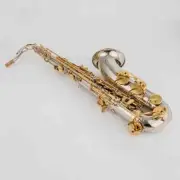 JTS1100SG Instruments Tenor Saxophone Bb Tone Nickel Plated Tube Gold Key Sax