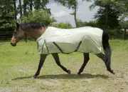McAlister Soft Mesh Fly Sheet White 80 82 NEW