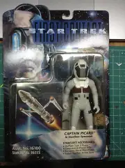 star trek, captain Picard from Star Trek first contact in star fleet spacesuit