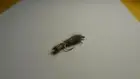 1 DOZ PW-2 FLASHBACK HARE'S EAR (SELECT YOUR SIZE) NYMPH