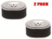 Oregon 30-318 (2 Pack) Air Filter Replaces Homelite 289387