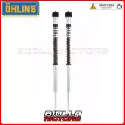 FKS 224 FORK CARTRIDGE OHLINS KAWASAKI Ninja 400 2019 - NIX 22