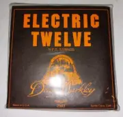 Dean Markley 12 String Electric Acoustic Guitar String Set Regular 2583