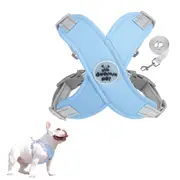 Dog Harness and Leash Set Escape Proof Vest Harnesses Adjustable Pet Outdoor Harnesses