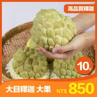 在飛比找蝦皮購物優惠-【果樂釋迦專賣】大目釋迦大果/10斤一箱 台東  太麻里 釋