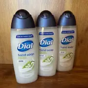 Dial Liquid Hand Soap Aloe Vera & Jasmine Limited Edition, 3 Bottles