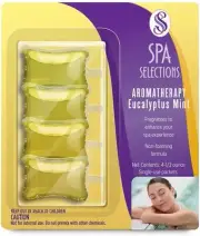 Spa Selections 86254 Aromatherapy Pillow Packs, Eucalyptus Mint - 4 (0.5 oz)