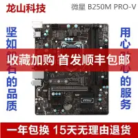 在飛比找蝦皮購物優惠-【現貨 品質保障】全新庫存MSI/微星B250M PRO-V