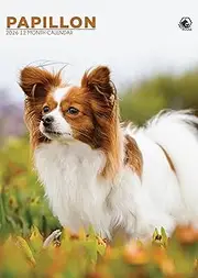 Papillon Calendar 2026 – A Year of Elegance and Charm