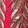 Feather Embellished Woven Cape Sleeve Maxi Dress (raspberry)